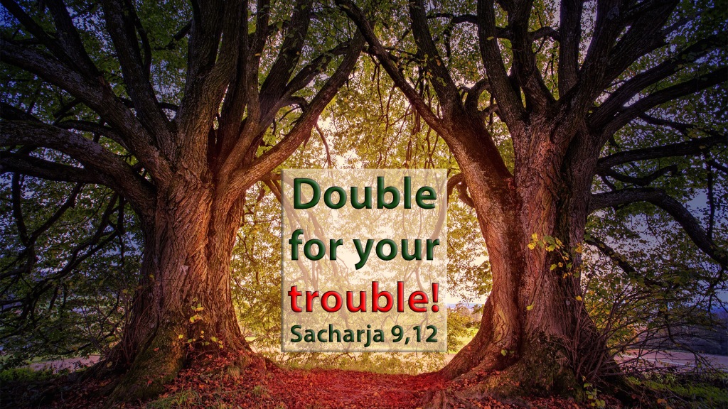 Double for your trouble! -
Sacharja 9,12
